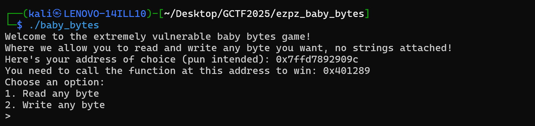 Program Output