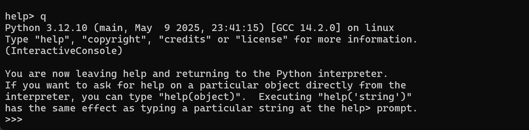 Python REPL